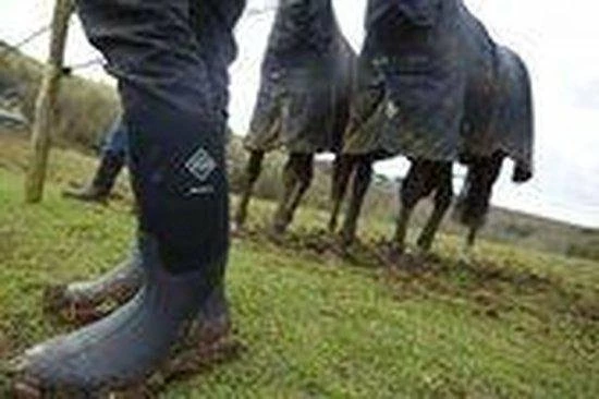 Muck Boot Derwent II - Bruin - Maat 44/45 9 Muck Boot Derwent II - Bruin - Maat 44/45 - Afbeelding 7