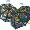 Floss & Rock Paraplu Dinosaurus - 60 Cm X Ø 66 Cm - Verandert Van Kleur! 2 Floss & Rock Paraplu Dinosaurus - 60 Cm X Ø 66 Cm - Verandert Van Kleur! -Isoproducts Gecertificeerd winkel 550x442
