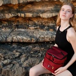 Biggdesign Koeltas - Lunchtas - Koeltasje - Warmhoud Tas - Thermo Bag -Isoproducts Gecertificeerd winkel 550x550 130